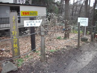 上和田野鳥の森公園